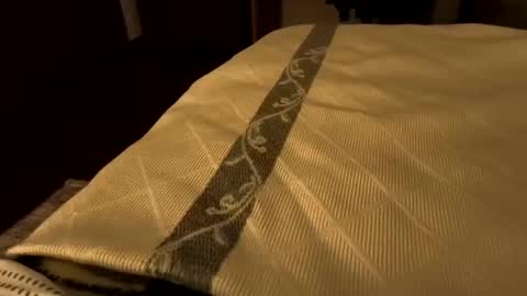 sevenorder online show from January 2025 06:43:02 AM