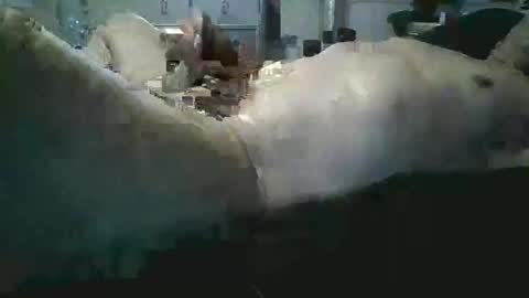 Snapshot of sexboy1437 chatting on November 2025 10:15:02 AM sexboy1437 online show from November 2025 10:15:02 AM