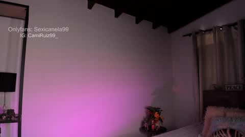 Snapshot of sexicanela99 chatting on December 2024 04:40:01 PM ... Camila ... online show from December 2024 04:40:01 PM