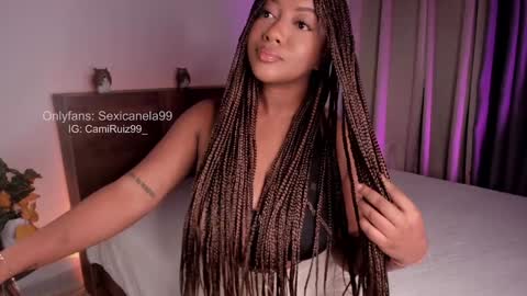 Snapshot of sexicanela99 chatting on February 2025 01:22:02 PM ... Camila ... online show from February 2025 01:22:02 PM