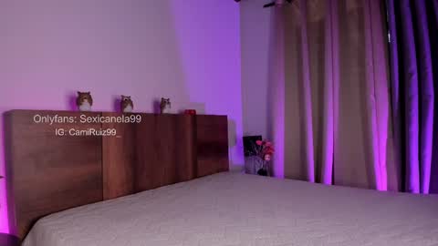 Snapshot of sexicanela99 chatting on February 2025 04:09:02 PM ... Camila ... online show from February 2025 04:09:02 PM