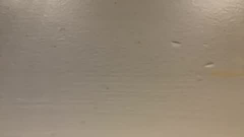 Snapshot of sexislitpuss69 chatting on January 2025 11:40:01 PM sexislitpuss69 online show from January 2025 11:40:01 PM