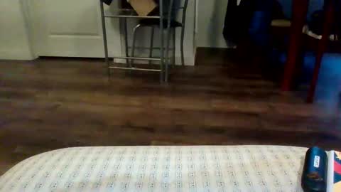 Snapshot of sexislitpuss69 chatting on February 2025 07:31:02 PM sexislitpuss69 online show from February 2025 07:31:02 PM