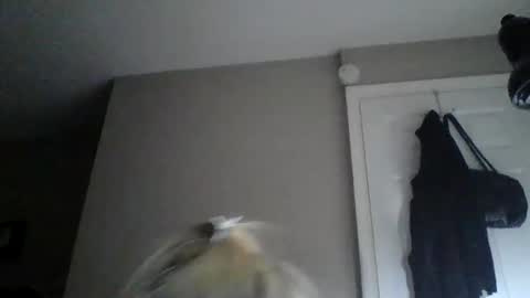 sexxiibossbabe online show from December 2025 07:32:01 PM