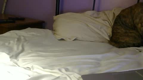 sexxxylibra10 online show from April 2026 07:55:02 PM