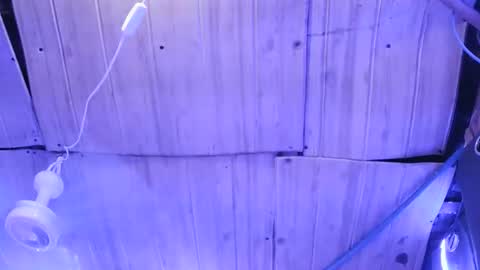 sexy_margaret7 online show from November 2025 04:34:01 AM