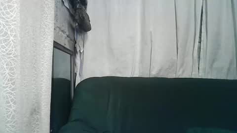 sexy_zapphire2024 online show from December 2024 08:55:01 PM