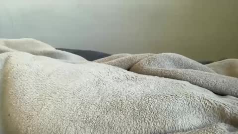 ALAYA  online show from November 2025 11:13:01 AM