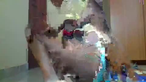 Snapshot of sexybilha483 chatting on February 2025 11:57:02 AM Sexybilha483 online show from February 2025 11:57:02 AM