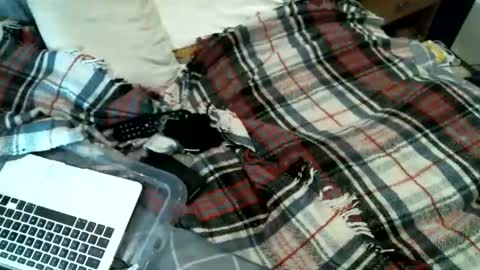 Snapshot of sexybiman74 chatting on January 2026 10:52:01 PM sexybiman74 online show from January 2026 10:52:01 PM