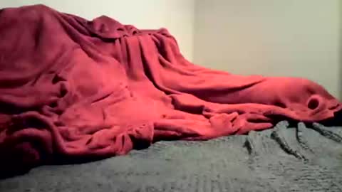 sexygg8331 online show from December 2024 01:10:01 AM