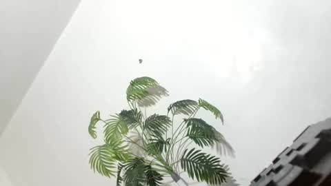 sexyhotbabe18 online show from March 2026 09:56:02 PM