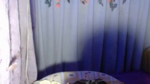 Kagura3 online show from May 2026 04:56:02 PM