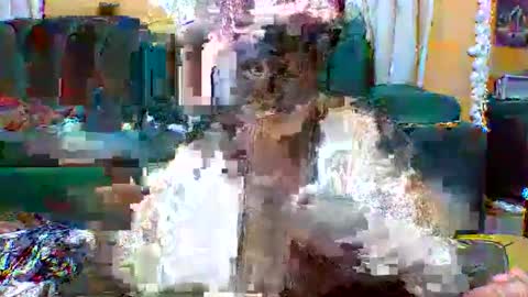 Snapshot of sexylo52 chatting on May 2026 11:07:02 AM sexylo52 online show from May 2026 11:07:02 AM