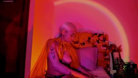 N A F online show from October 2025 07:26:02 PM