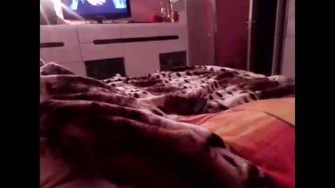 Snapshot of sexypairjuly chatting on November 2025 11:15:01 PM sexypairjuly online show from November 2025 11:15:01 PM