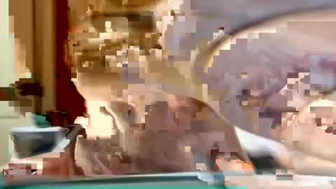 Snapshot of sexyy_red08 chatting on November 2025 06:49:01 AM sexyy_red08 online show from November 2025 06:49:01 AM