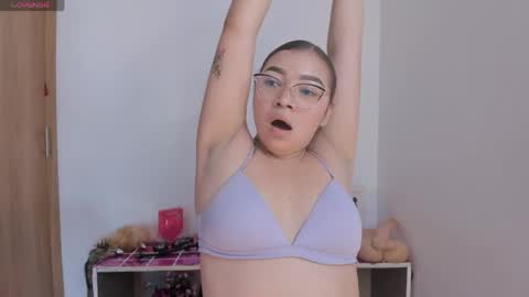 shadara online show from June 2026 08:00:01 PM