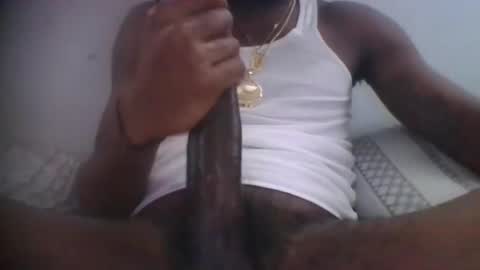 shadow351712 online show from March 2025 01:31:02 PM