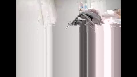 Snapshot of shagnasty95 chatting on April 2026 01:27:02 AM shagnasty95 online show from April 2026 01:27:02 AM