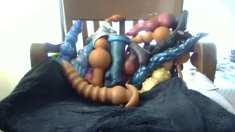 shakespeareisahomie online show from November 2025 03:06:02 PM