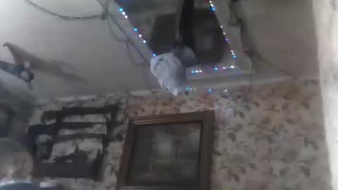 shanelle9270 online show from September 2025 01:49:01 AM