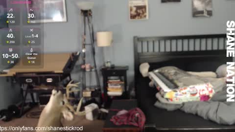 shanestickrod online show from November 2025 04:50:02 AM