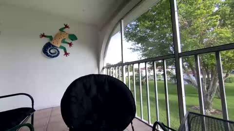 Shannon Spears online show from January 2025 08:52:02 PM