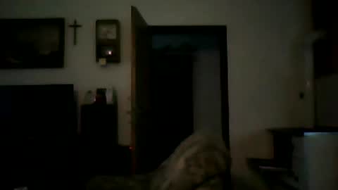 Snapshot of shaomy711 chatting on January 2025 02:30:01 PM excelo21 online show from January 2025 02:30:01 PM