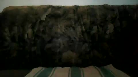 Snapshot of shaomy711 chatting on January 2025 02:59:02 PM excelo21 online show from January 2025 02:59:02 PM