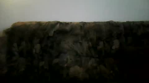 Snapshot of shaomy711 chatting on February 2025 02:13:02 PM excelo21 online show from February 2025 02:13:02 PM