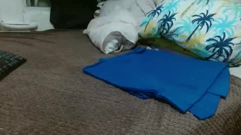 sharlot03 online show from February 2025 10:53:01 AM