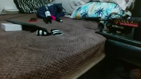 sharlot03 online show from February 2025 10:56:02 AM