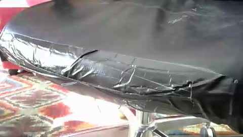 Snapshot of shavedassballs chatting on October 2025 03:13:01 PM shavedassballs online show from October 2025 03:13:01 PM