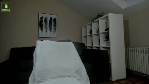 Snapshot of shawnolsen chatting on January 2025 06:30:02 AM Shawn Olsen online show from January 2025 06:30:02 AM