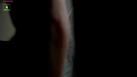 Snapshot of shawnolsen chatting on February 2025 09:40:02 AM Shawn Olsen online show from February 2025 09:40:02 AM