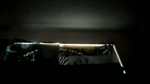 shawty_hung420 online show from June 2026 01:06:02 AM