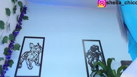 Snapshot of sheila_bigcok chatting on February 2025 12:36:02 AM SHEILA  online show from February 2025 12:36:02 AM