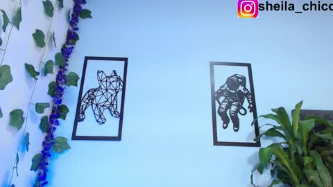 Snapshot of sheila_bigcok chatting on February 2025 02:25:02 PM SHEILA  online show from February 2025 02:25:02 PM