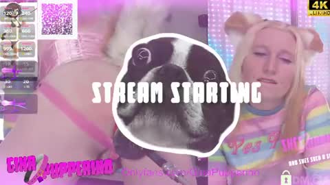 Gina online show from July 2026 01:18:02 PM