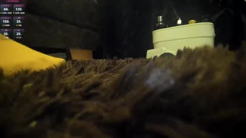 Snapshot of shinigamidoll chatting on March 2025 02:15:01 AM Shinigamidoll see you soon online show from March 2025 02:15:01 AM