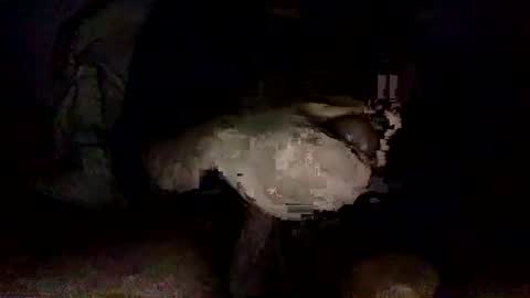 Snapshot of shoot3s__ chatting on December 2024 02:12:02 AM shoot3s__ online show from December 2024 02:12:02 AM