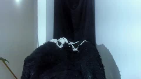 Shooter online show from March 2026 04:39:01 AM