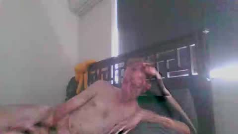 JustAbitCheeky online show from December 2025 12:40:02 AM