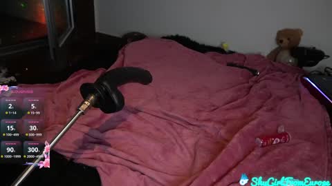 Snapshot of shygirlfromeurope chatting on January 2025 12:28:01 AM Vivian  online show from January 2025 12:28:01 AM