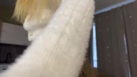 Snapshot of shyrubate chatting on October 2025 06:23:01 AM Aurora online show from October 2025 06:23:01 AM