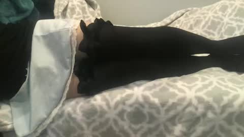 shysissy12 online show from September 2025 01:05:02 PM