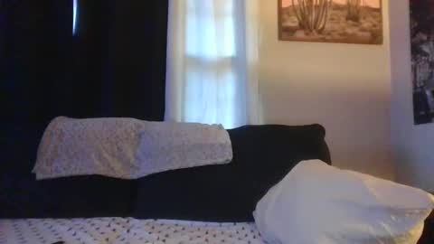 Snapshot of sidneyraee chatting on October 2025 08:09:02 PM Mrs. St. Patrickk online show from October 2025 08:09:02 PM