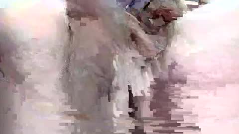 Snapshot of sigmaelixer chatting on September 2025 09:08:02 PM sigmaelixer online show from September 2025 09:08:02 PM