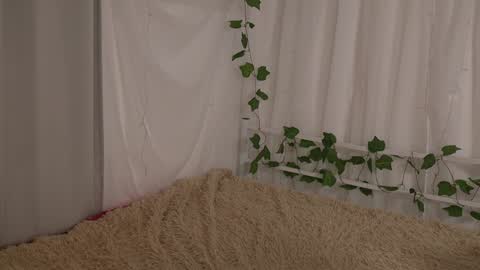 Chilli online show from January 2025 01:41:02 PM